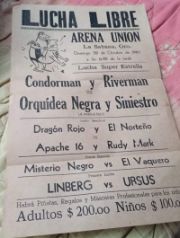 source: http://luchadb.com/posters/uploads/R_20251124-16/FB_IMG_1763789859035.jpg