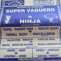 source: http://luchadb.com/posters/uploads/R_20251124-17/FB_IMG_1763891293843.jpg