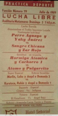 source: http://luchadb.com/posters/uploads/R_20251124-20/Screenshot_20251121_080227_Facebook.jpg