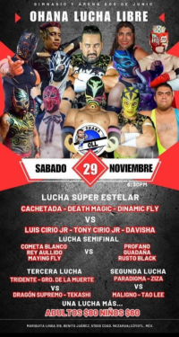 source: http://luchadb.com/posters/uploads/20251126A/20251126_17641701196204.png