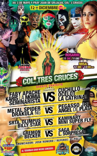 source: http://luchadb.com/posters/uploads/20251126A/20251126_17641702974593.png