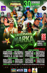 source: http://luchadb.com/posters/uploads/20251126B/20251126_1764170433946.png