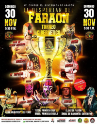 source: http://luchadb.com/posters/uploads/20251126B/20251126_17641704785341.png