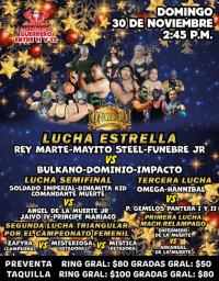 source: http://luchadb.com/posters/uploads/20251126C/20251126_17641706388226.png