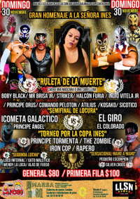 source: https://luchadb.com/posters/recycle_bin/20251126_17641707107576.png