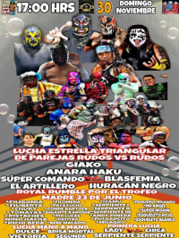 source: https://luchadb.com/posters/recycle_bin/20251126_17641707122092.png