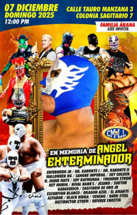 source: http://luchadb.com/posters/uploads/20251127A/20251127_1764300780923.png