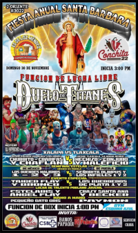 source: http://luchadb.com/posters/uploads/20251127B/20251127_17643050141657.png