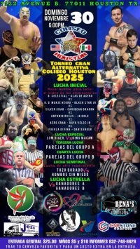 source: http://luchadb.com/posters/uploads/20251127C/20251127_1764305060812.png