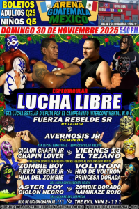 source: http://luchadb.com/posters/uploads/20251127C/20251127_17643051170189.png