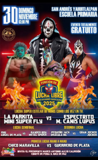 source: http://luchadb.com/posters/uploads/20251127C/20251127_17643051198752.png