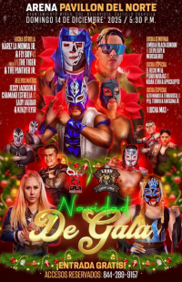 source: http://luchadb.com/posters/uploads/20251128A/20251128_17643477840317.png