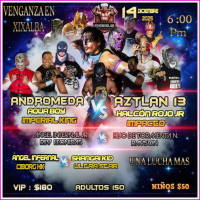 source: http://luchadb.com/posters/uploads/20251128A/20251128_17643478439754.png