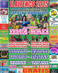 source: http://luchadb.com/posters/uploads/20251128A/20251128_17643479073718.png