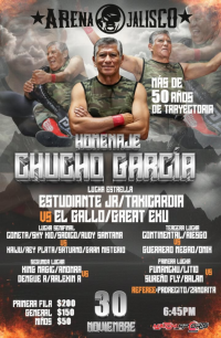 source: http://luchadb.com/posters/uploads/20251130A/20251130_17645465405156.png