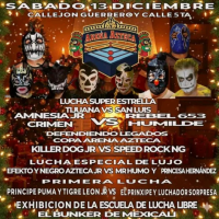 source: http://luchadb.com/posters/uploads/20251130A/20251130_17645478330292.png