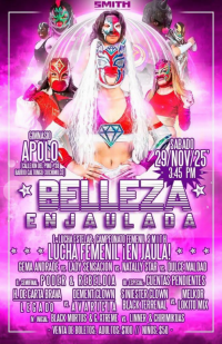 source: http://luchadb.com/posters/uploads/20251130A/20251130_17645492922257.png