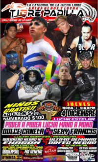 source: http://luchadb.com/posters/uploads/20251130C/20251130_17645497446933.png