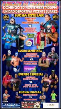 source: http://luchadb.com/posters/uploads/20251130C/20251130_17645497460658.png