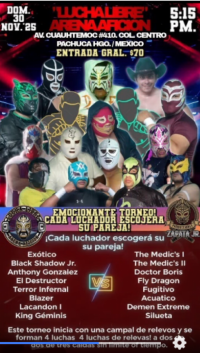 source: http://luchadb.com/posters/uploads/20251130C/20251130_17645501401505.png