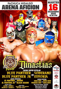 source: http://luchadb.com/posters/uploads/20251202A/20251202_17646947273652.png