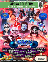 source: http://luchadb.com/posters/uploads/20251202A/20251202_17646953134597.png