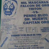 source: http://luchadb.com/posters/uploads/20251202B/20251202_17646989703951.png