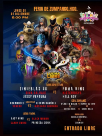 source: http://luchadb.com/posters/uploads/20251202C/20251202_1764699232598.png