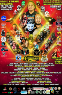 source: http://luchadb.com/posters/uploads/20251203B/20251203_17647917829093.png