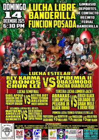 source: http://luchadb.com/posters/uploads/20251204A/20251204_17648700349428.png