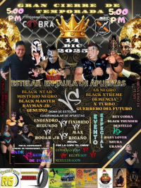 source: http://luchadb.com/posters/uploads/20251204B/20251204_17648701845515.png