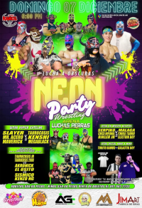 source: http://luchadb.com/posters/uploads/20251204D/20251204_17649067134594.png