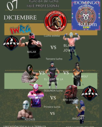 source: http://luchadb.com/posters/uploads/20251205A/20251205_17649562078126.png