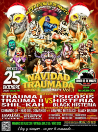 source: http://luchadb.com/posters/uploads/20251205A/20251205_17649562835347.png