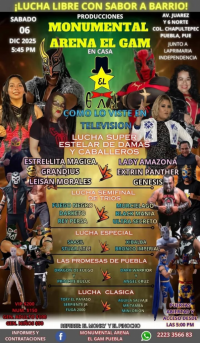 source: http://luchadb.com/posters/uploads/20251205A/20251205_17649563361548.png