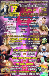 source: http://luchadb.com/posters/uploads/20251205A/20251205_17649563374901.png