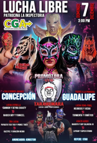 source: http://luchadb.com/posters/uploads/20251205A/20251205_17649563402103.png