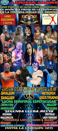 source: http://luchadb.com/posters/uploads/20251205A/20251205_17649563416161.png