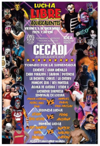 source: http://luchadb.com/posters/uploads/20251207A/20251207_17651532009422.png