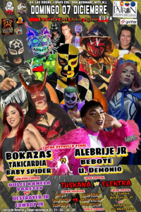 source: http://luchadb.com/posters/uploads/20251207A/20251207_17651532554402.png