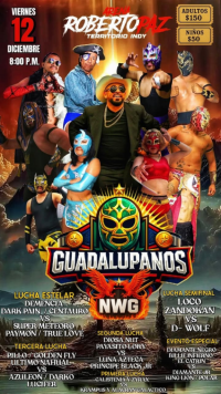 source: http://luchadb.com/posters/uploads/20251207B/20251207_17651533737943.png