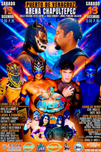 source: http://luchadb.com/posters/uploads/20251207B/20251207_17651594219882.png