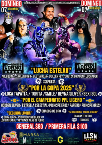 source: http://luchadb.com/posters/uploads/20251207B/20251207_17651594683527.png