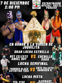 source: http://luchadb.com/posters/uploads/20251207D/20251207_17651598054185.png