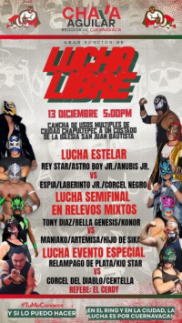 source: http://luchadb.com/posters/uploads/20251207D/20251207_17651598955397.png