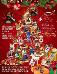 source: http://luchadb.com/posters/uploads/20251209A/20251209_02.png