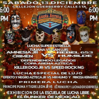 source: http://luchadb.com/posters/uploads/20251209A/20251209_03.png