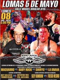 source: http://luchadb.com/posters/uploads/20251209A/20251209_20.png