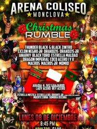 source: http://luchadb.com/posters/uploads/20251209B/20251209_08.png