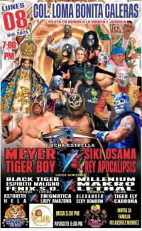 source: http://luchadb.com/posters/uploads/20251209B/20251209_16.png